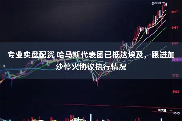 专业实盘配资 哈马斯代表团已抵达埃及，跟进加沙停火协议执行情况