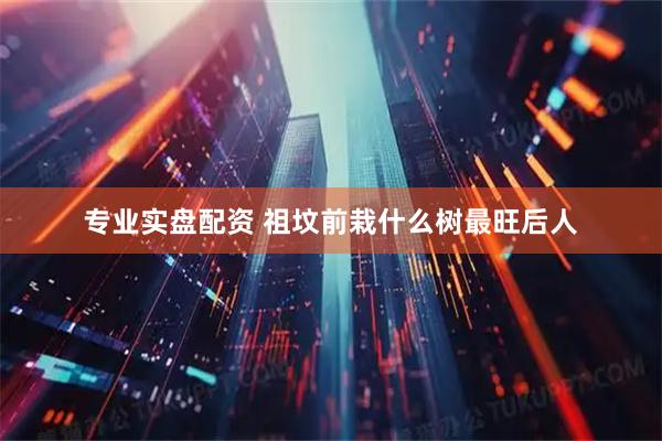 专业实盘配资 祖坟前栽什么树最旺后人