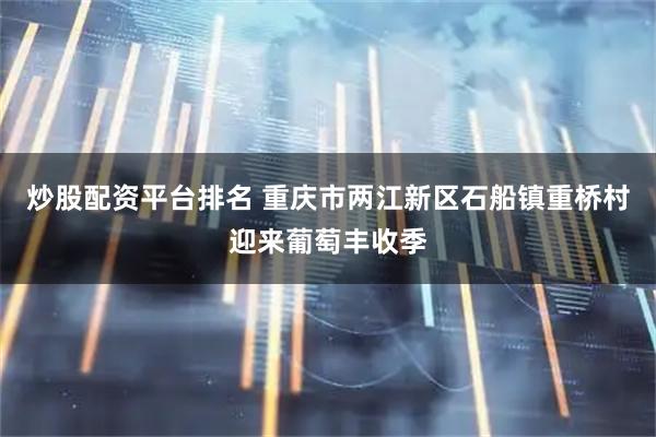 炒股配资平台排名 重庆市两江新区石船镇重桥村迎来葡萄丰收季