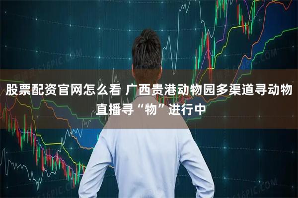 股票配资官网怎么看 广西贵港动物园多渠道寻动物 直播寻“物”进行中